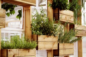 Diseño de jardines