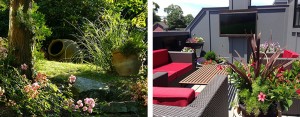 Reforma de jardines y terrazas