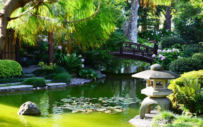 Cómo reformar el jardín de casa