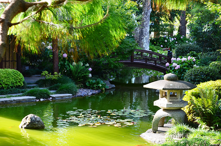 Jardín japonés